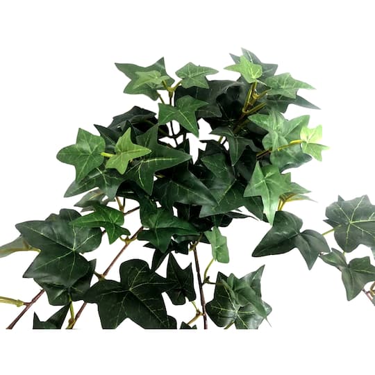 12 Pack: Assorted Mini English Ivy Bush by Ashland®